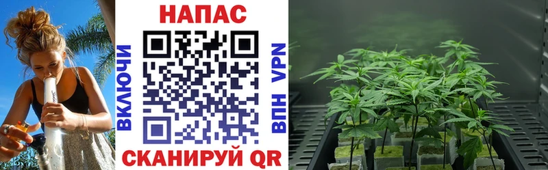 купить наркотик  Шахты  MEGA вход  Бошки марихуана Ganja 
